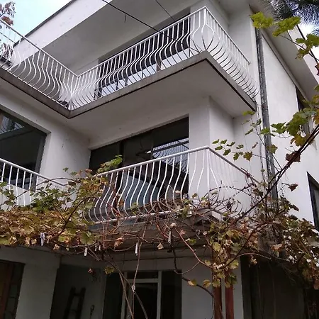 Vladev Homestay *